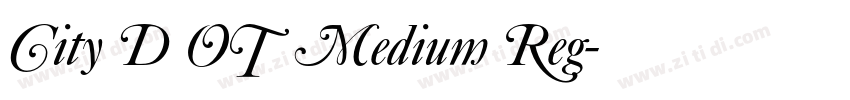 City D OT Medium Reg字体转换